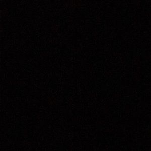 Meet your Posher, Bella